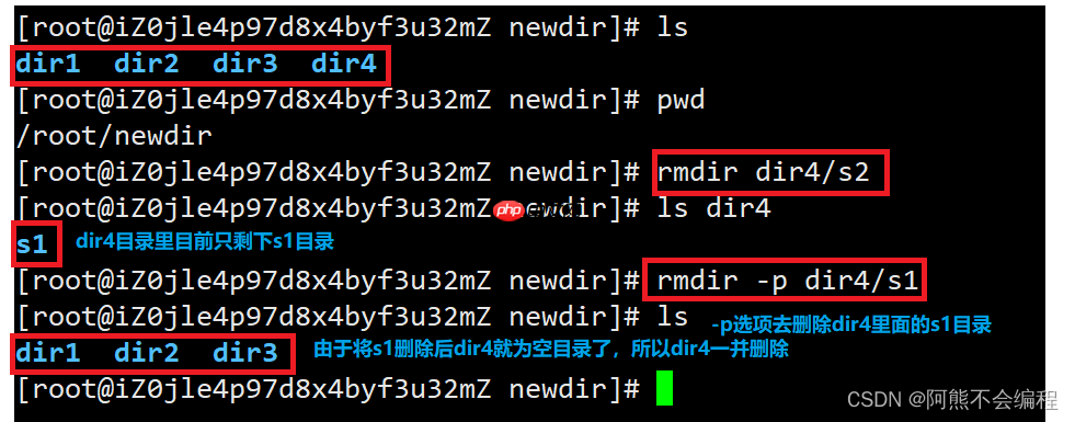 Linux入门必备指令