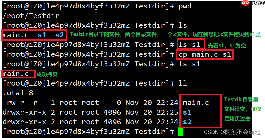 Linux入门必备指令
