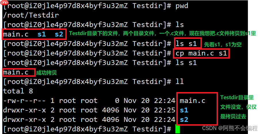 Linux入门必备指令