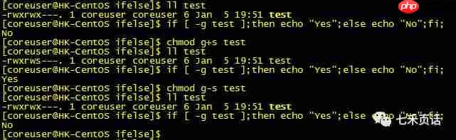 Linux——Shell编程里if的参数从-a到-z