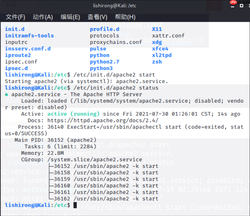 搭建漏洞环境-实战-2
