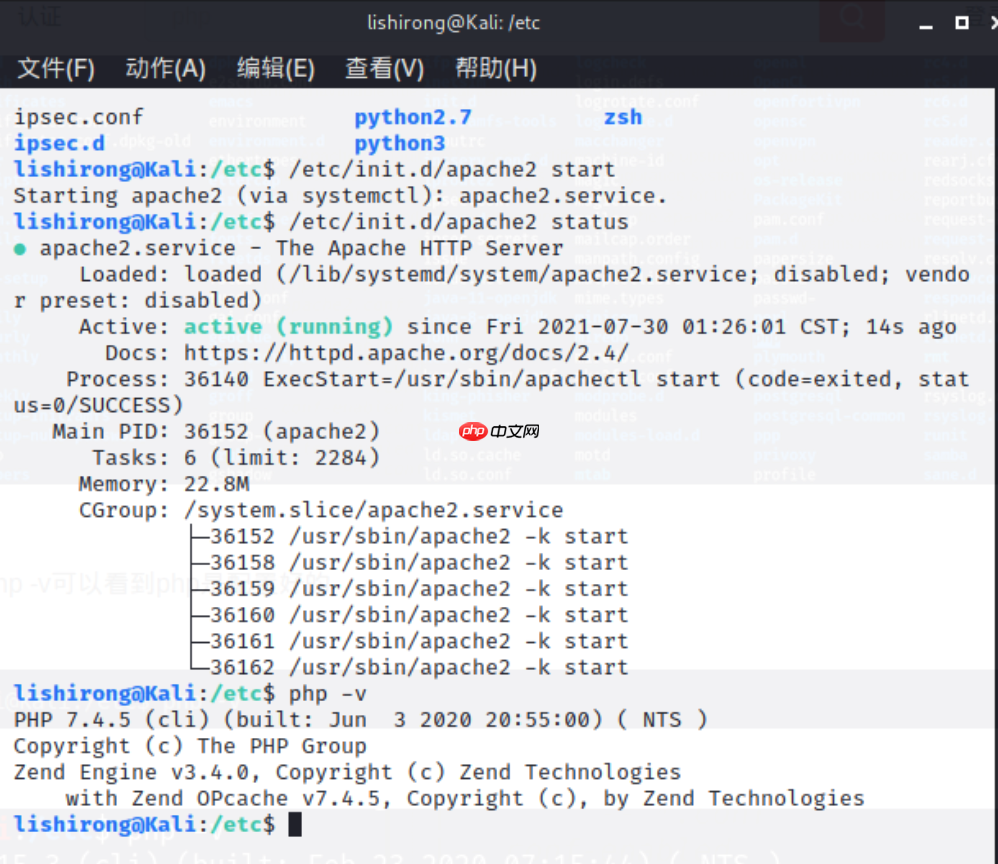 搭建漏洞环境-实战-2