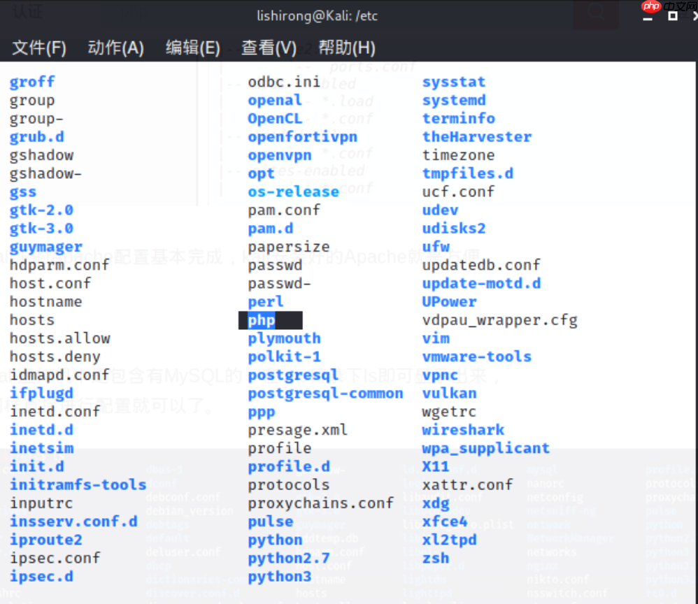 搭建漏洞环境-实战-2