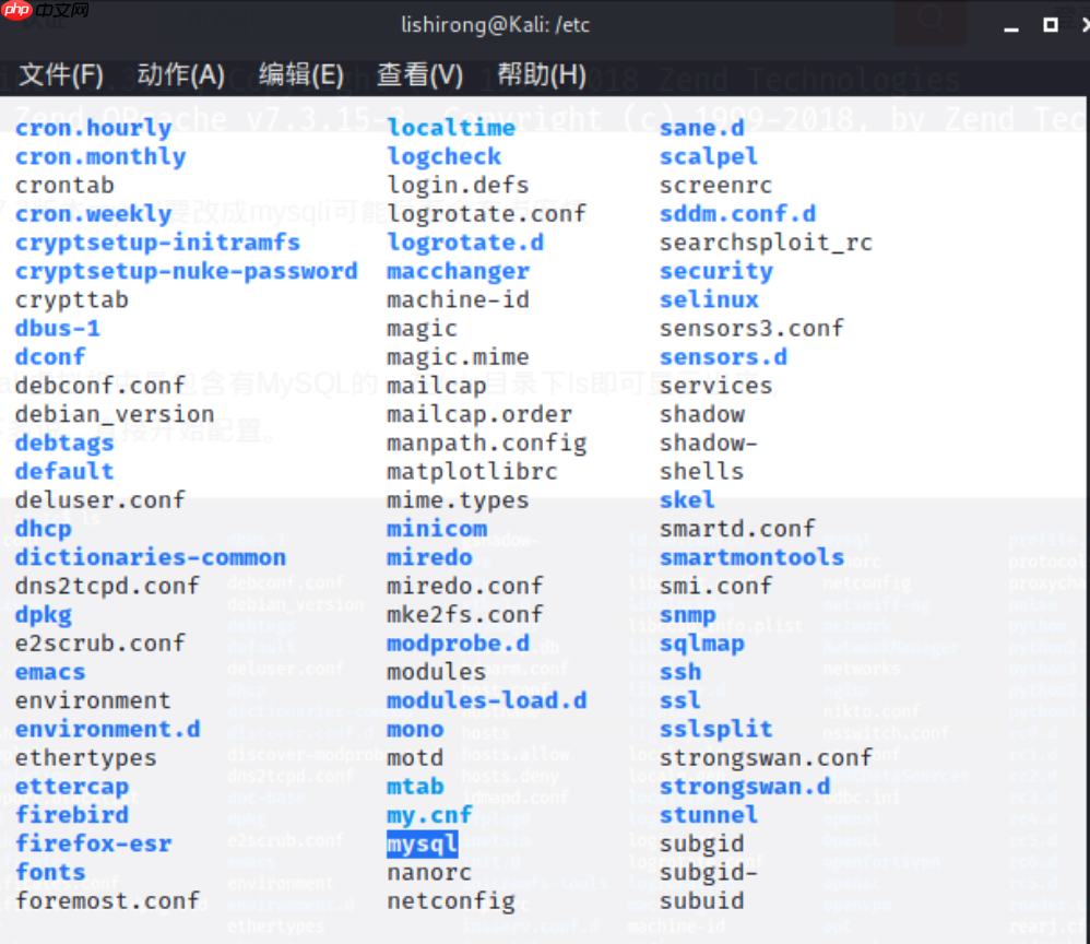 搭建漏洞环境-实战-2