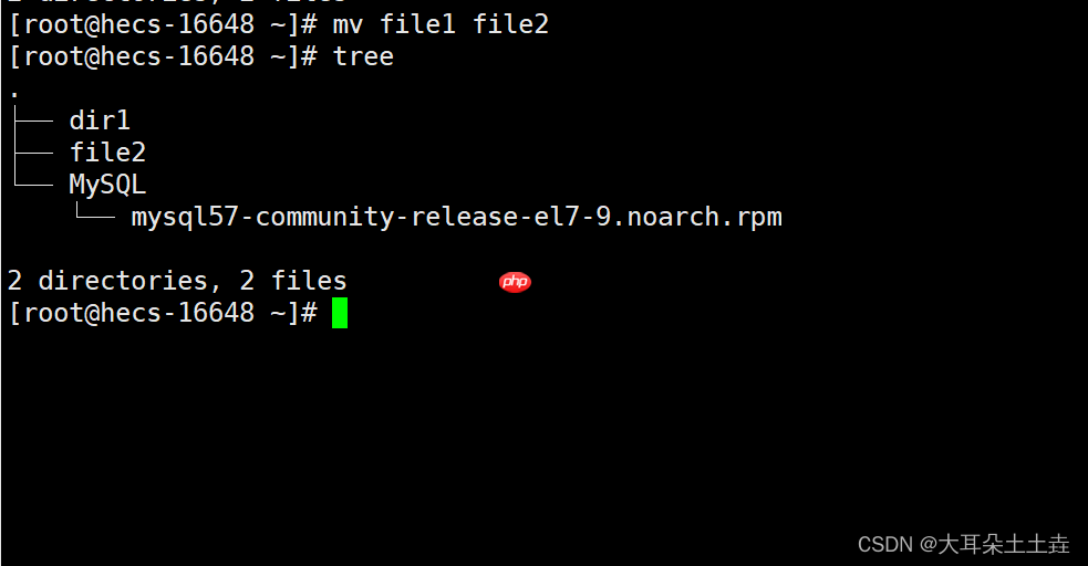 【Linux系统编程】基础指令(二)