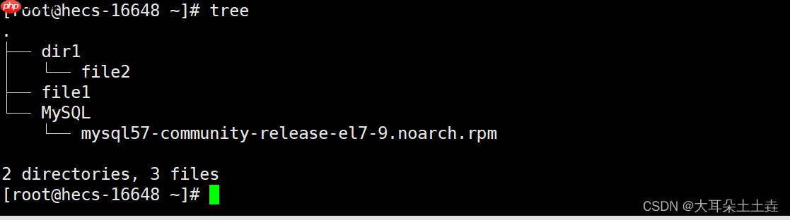 【Linux系统编程】基础指令(二)