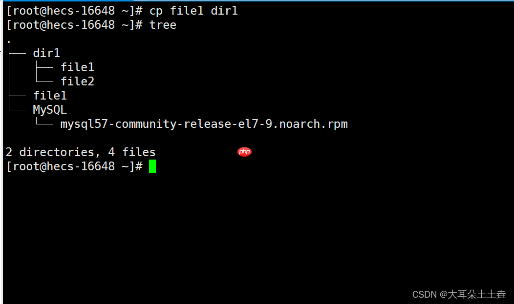 【Linux系统编程】基础指令(二)