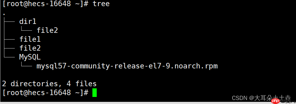 【Linux系统编程】基础指令(二)