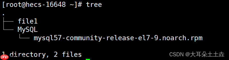 【Linux系统编程】基础指令(二)