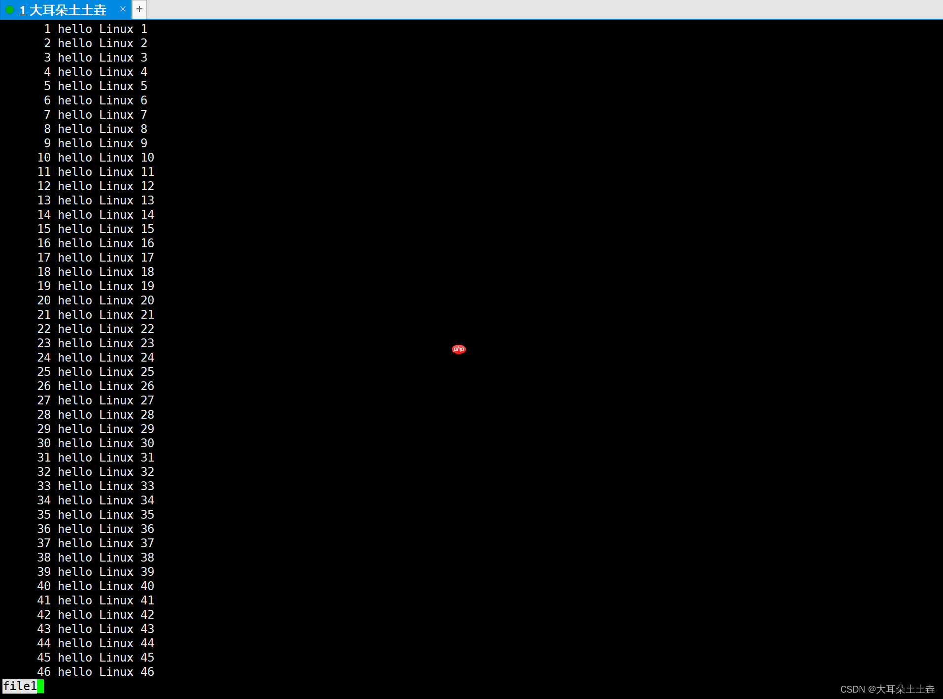 【Linux系统编程】基础指令(二)
