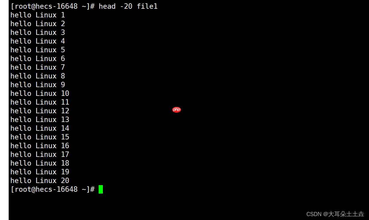 【Linux系统编程】基础指令(二)