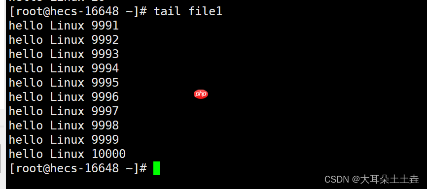 【Linux系统编程】基础指令(二)