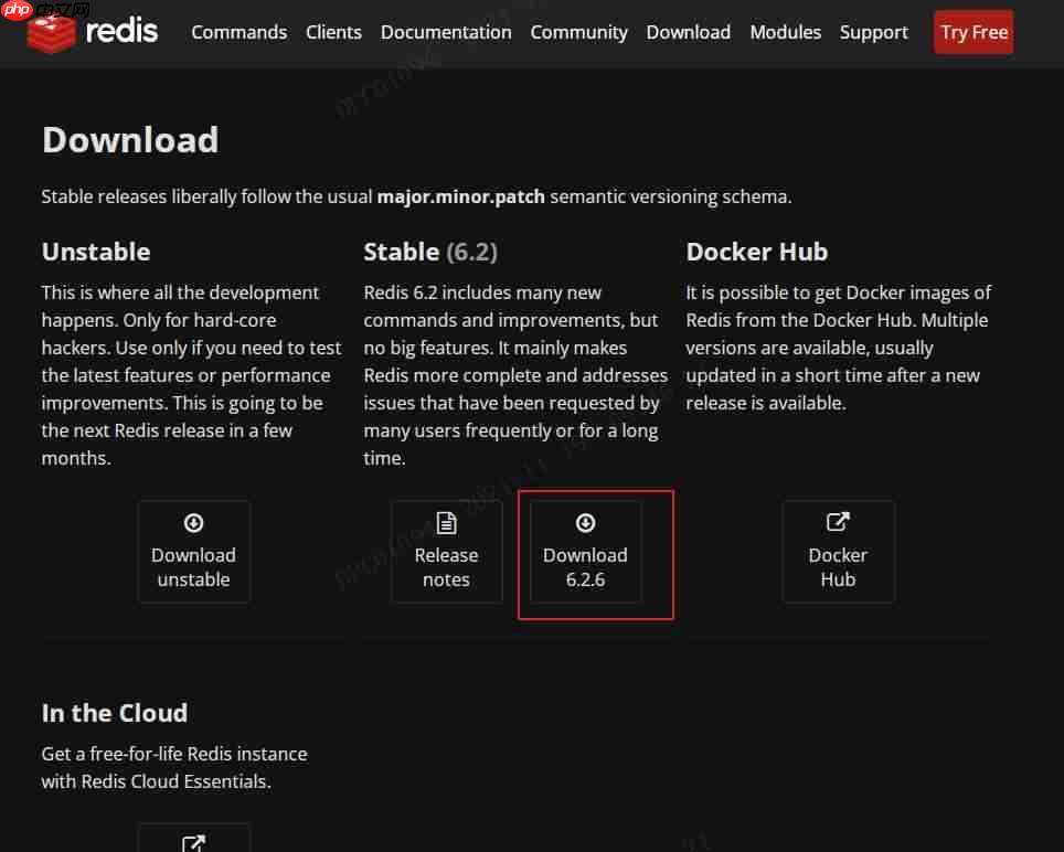 Linux安装Redis（图文解说详细版）「建议收藏」