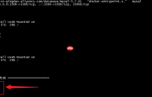 远程访问Linux的DataEase数据可视化分析，有哪些推荐的工具？