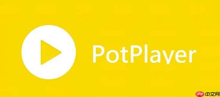 PotPlayer怎么添加滤镜 PotPlayer视频增强效果设置