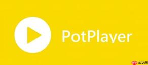 PotPlayer怎么添加滤镜 PotPlayer视频增强效果设置