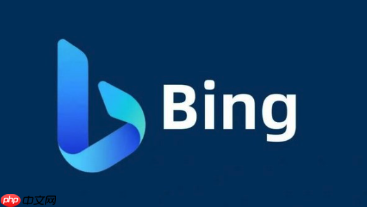 Bing浏览器表单自动填充失效处理 Bing浏览器输入辅助配置