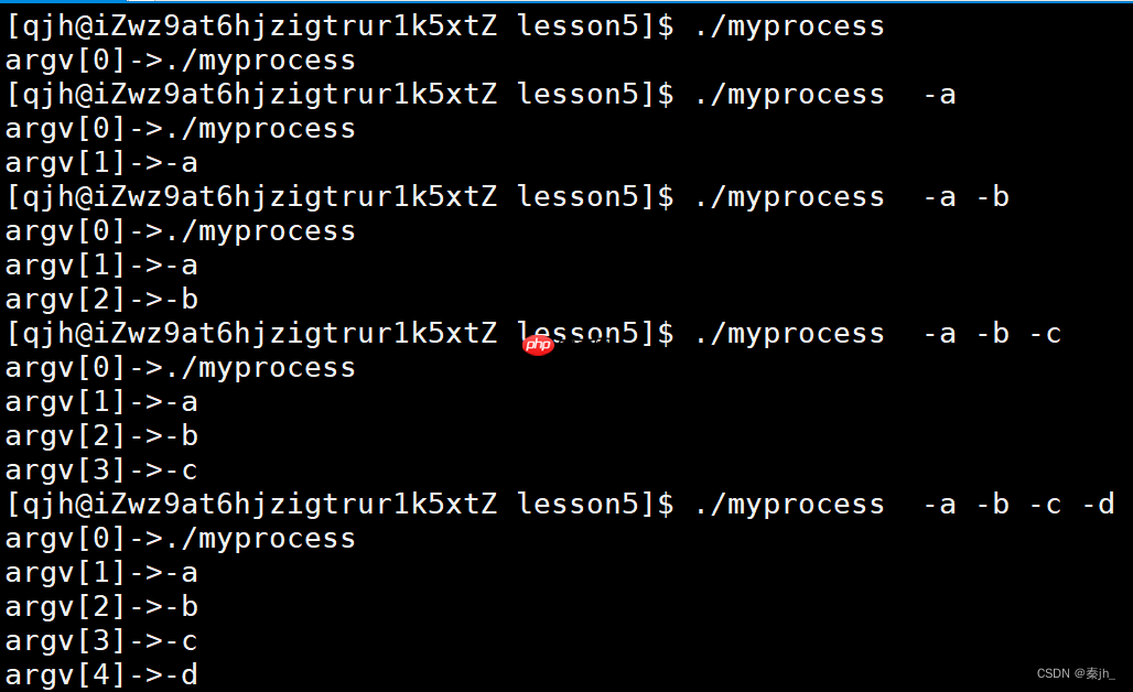 【Linux】命令行参数和环境变量