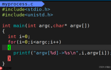 【Linux】命令行参数和环境变量