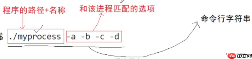 【Linux】命令行参数和环境变量