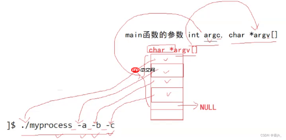 【Linux】命令行参数和环境变量
