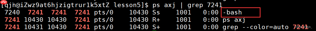 【Linux】命令行参数和环境变量