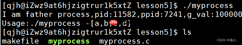 【Linux】命令行参数和环境变量