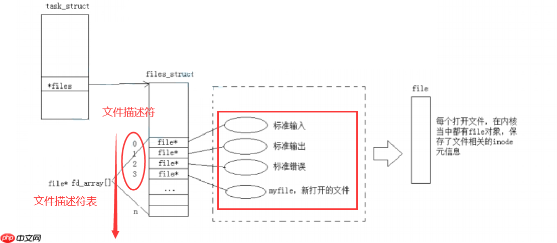 【Linux】认识Linux内核中进程级别的文件结构体【files_struct】&文件IO模型初步演示