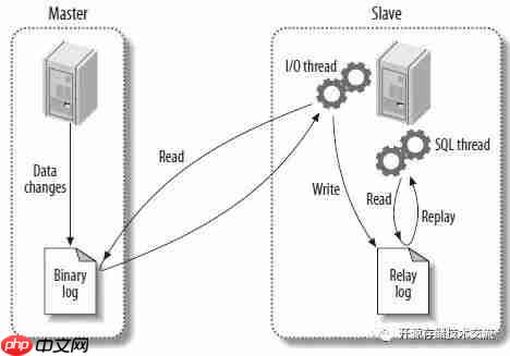 MySQL基于GTID主从复制入门