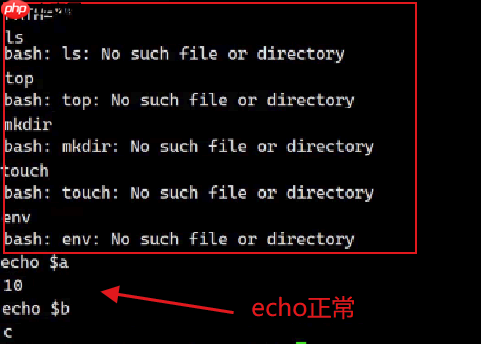 【Linux】环境变量常见指令操作&基本实验(入门必看!)