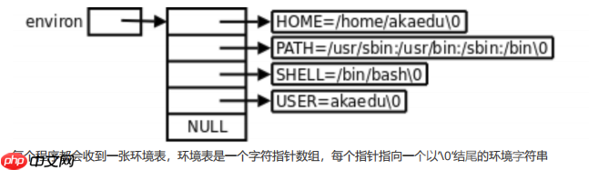 【Linux】环境变量常见指令操作&基本实验(入门必看!)