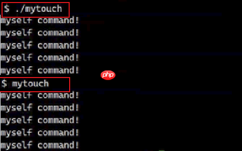 【Linux】环境变量常见指令操作&基本实验(入门必看!)