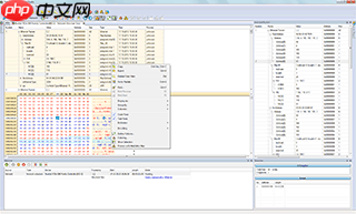 2022年最受工程师欢迎的10款抓包工具有哪些?不止Wireshark和Tcpdump哦!