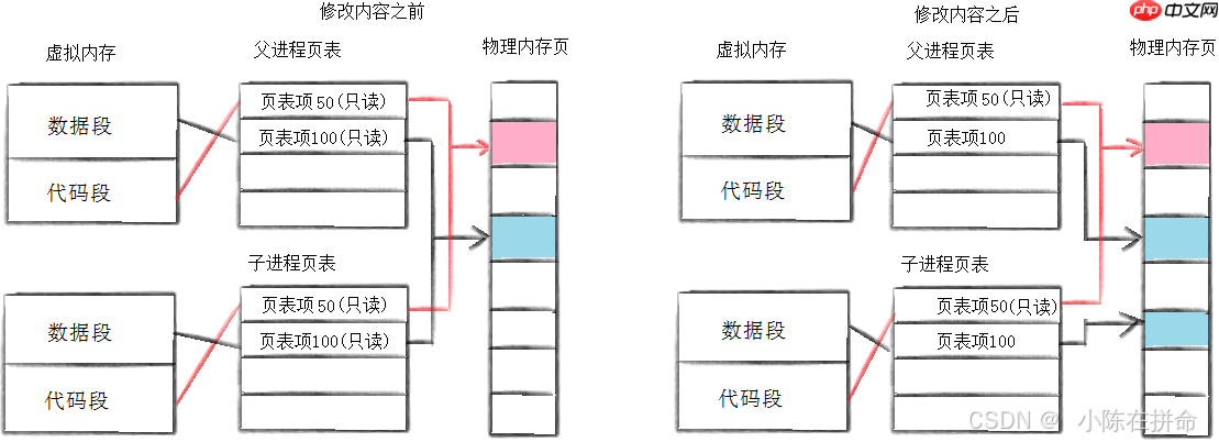 Linux：进程的创建、终止和等待