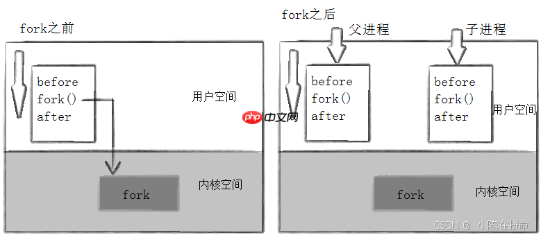 Linux：进程的创建、终止和等待