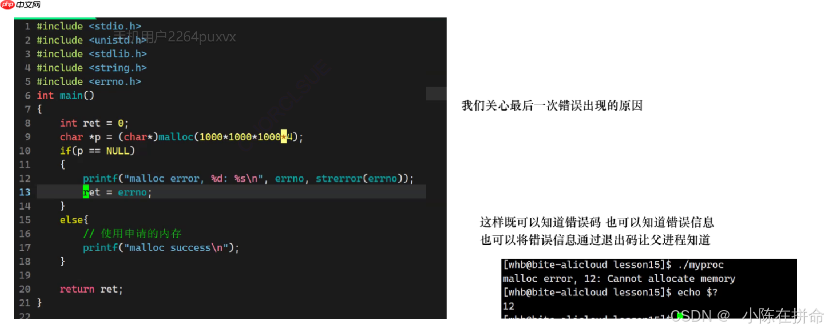 Linux：进程的创建、终止和等待