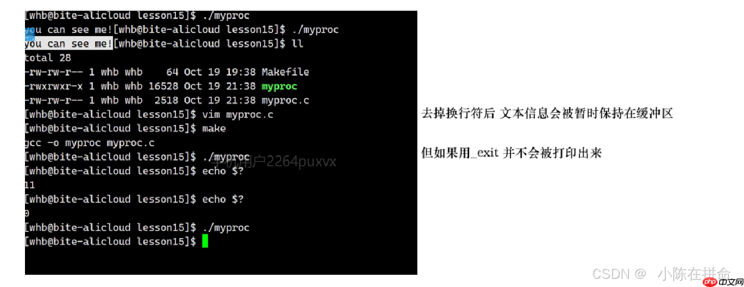 Linux：进程的创建、终止和等待