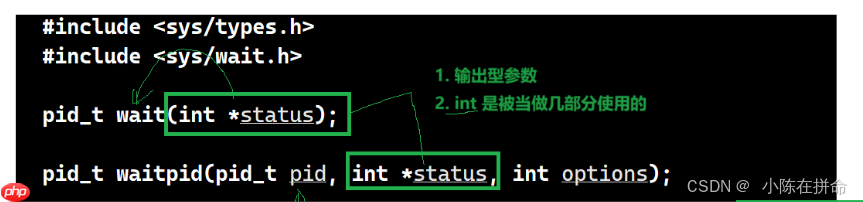 Linux：进程的创建、终止和等待