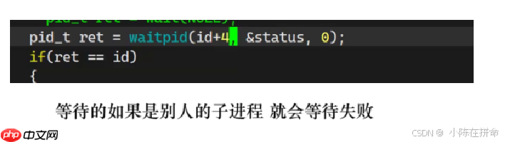 Linux：进程的创建、终止和等待