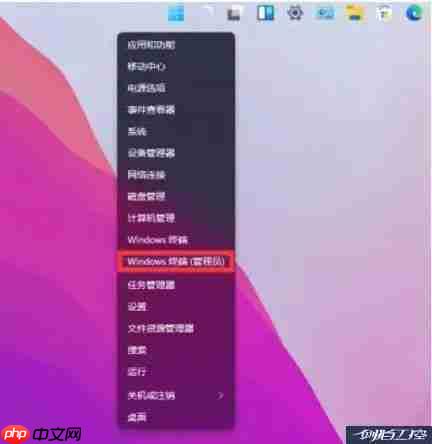 Windows 11如何使用 Android子系统