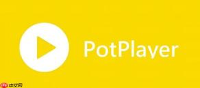 PotPlayer播放器怎么播放4K视频 PotPlayer高清解码优化方案