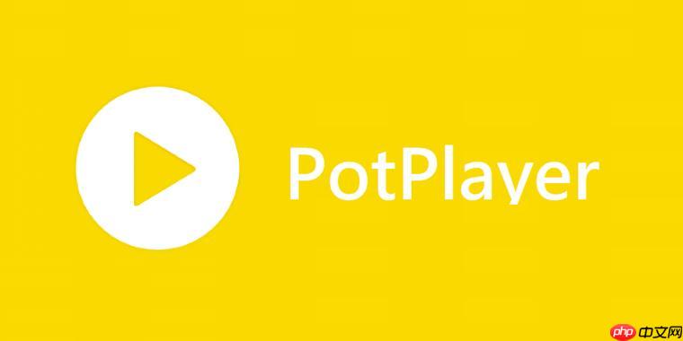 PotPlayer如何旋转视频 PotPlayer画面方向调整指南