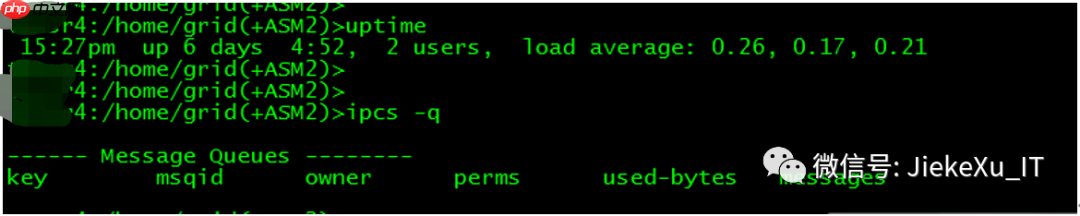 Oracle 19c RAC 遇到的几个问题