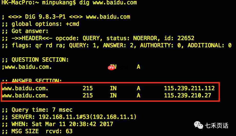 敢问路向何方之DNS
