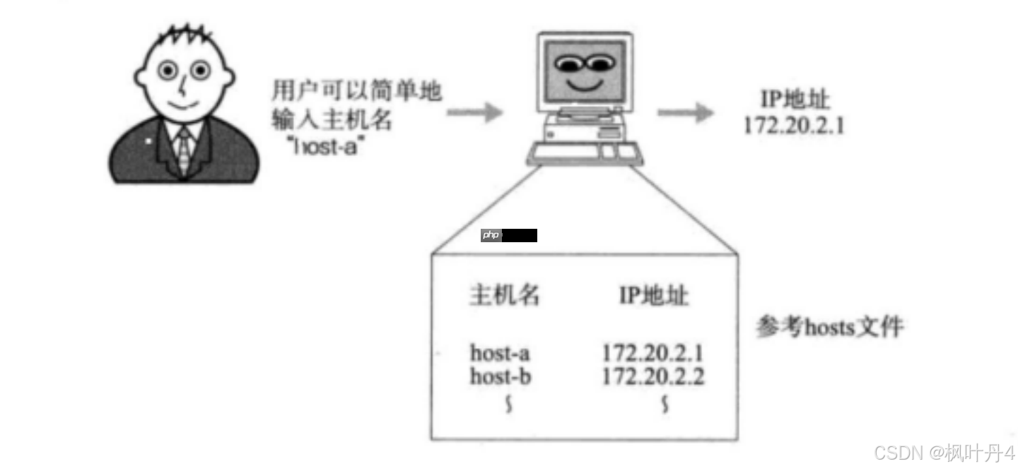 【在Linux世界中追寻伟大的One Piece】DNS与ICMP