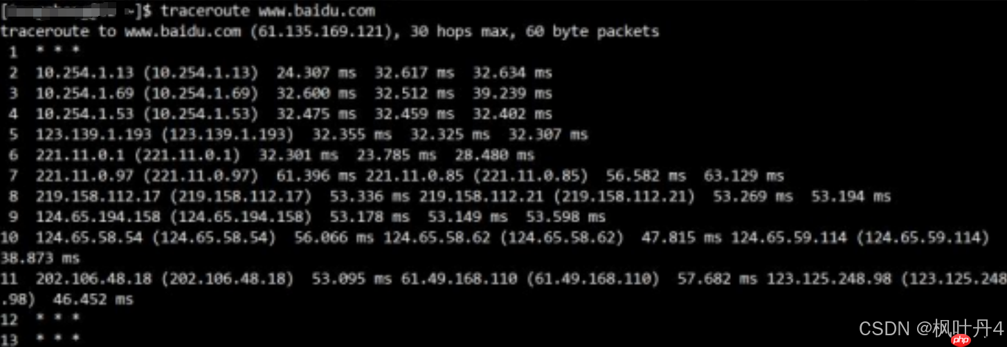 【在Linux世界中追寻伟大的One Piece】DNS与ICMP