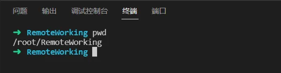 【玩转  Cloud Studio】以 Rust 为例定制自己的开发环境