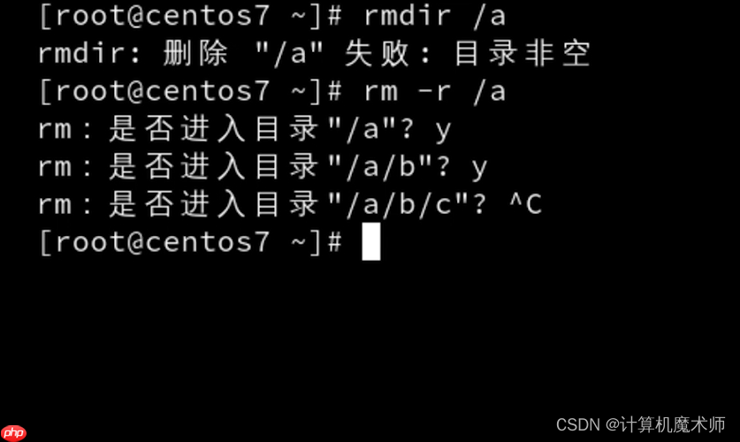 【操作系统 | Linux】 文件管理五件套（查看，切换，创建删除，复制移动）