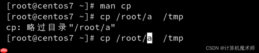 【操作系统 | Linux】 文件管理五件套（查看，切换，创建删除，复制移动）
